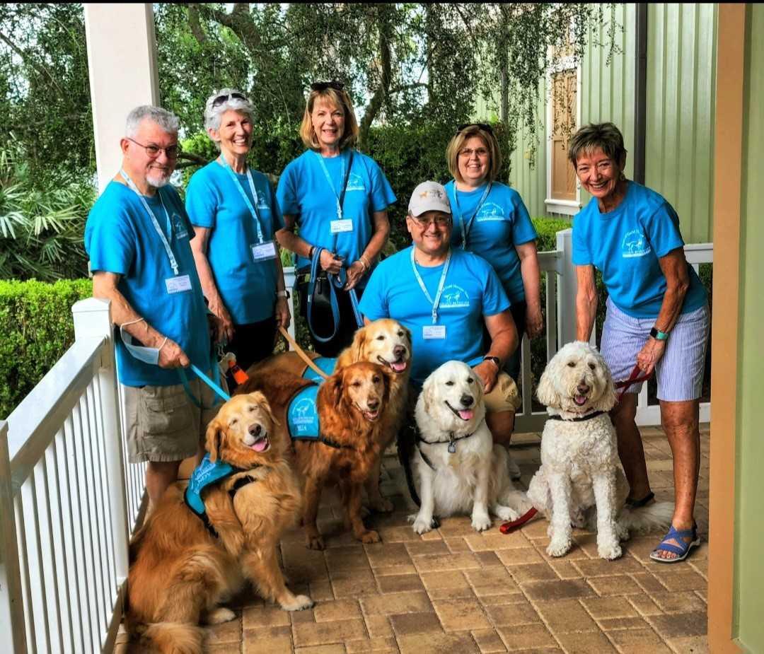 Hearts of Gold Golden Retrievers and Trainers